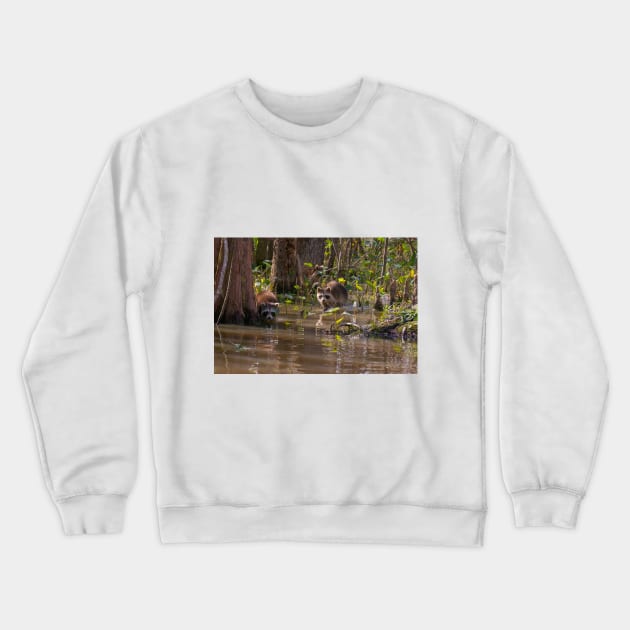 Raccoons on the Louisiana Bayou Crewneck Sweatshirt by SafariByMarisa